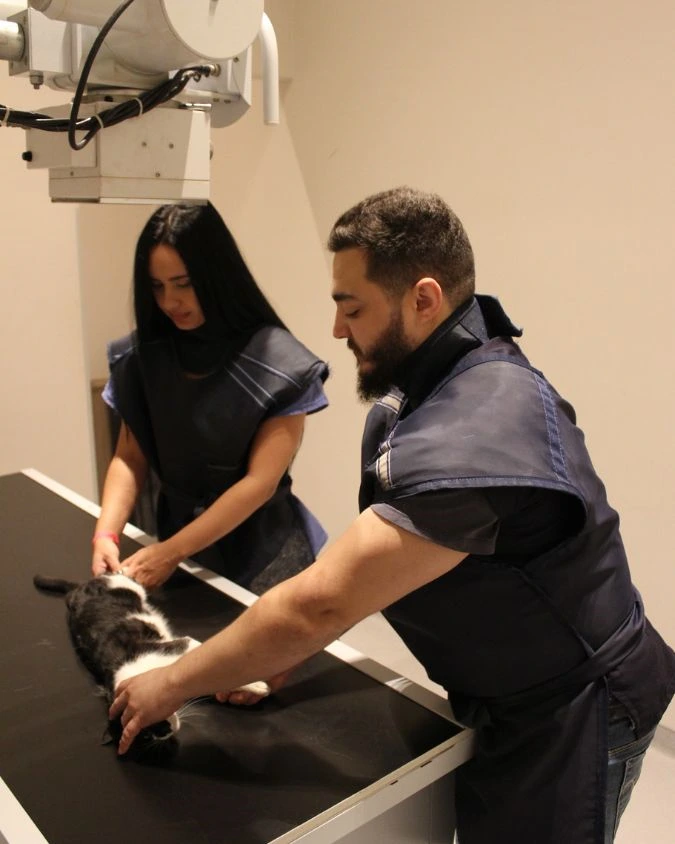 Imagem ilustrativa de Clínica veterinária com raio x