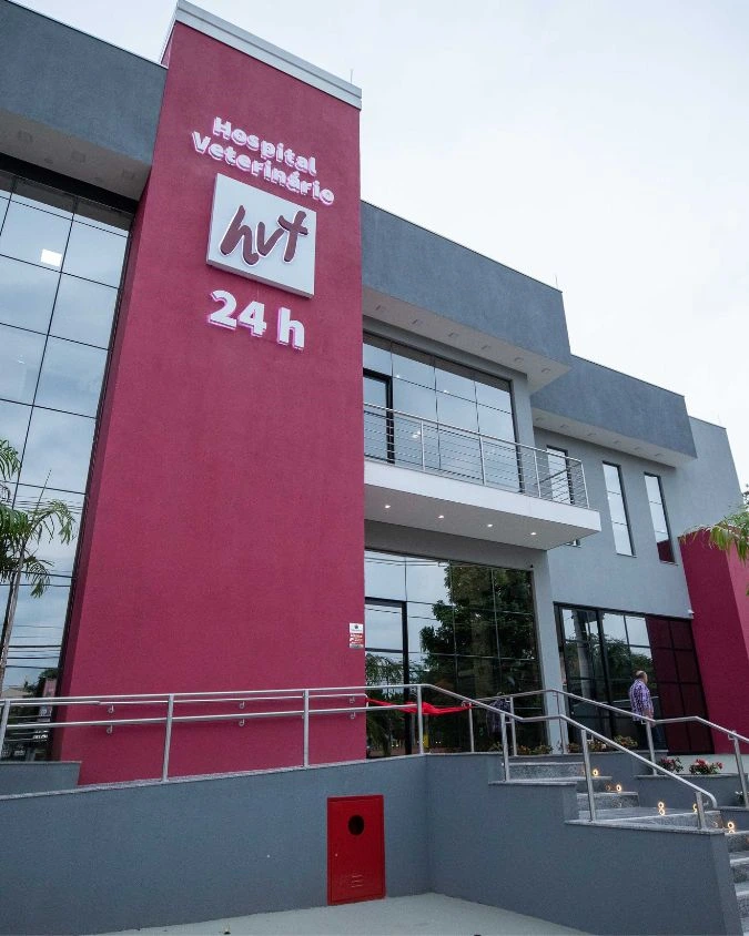 Médico veterinário oftalmologista