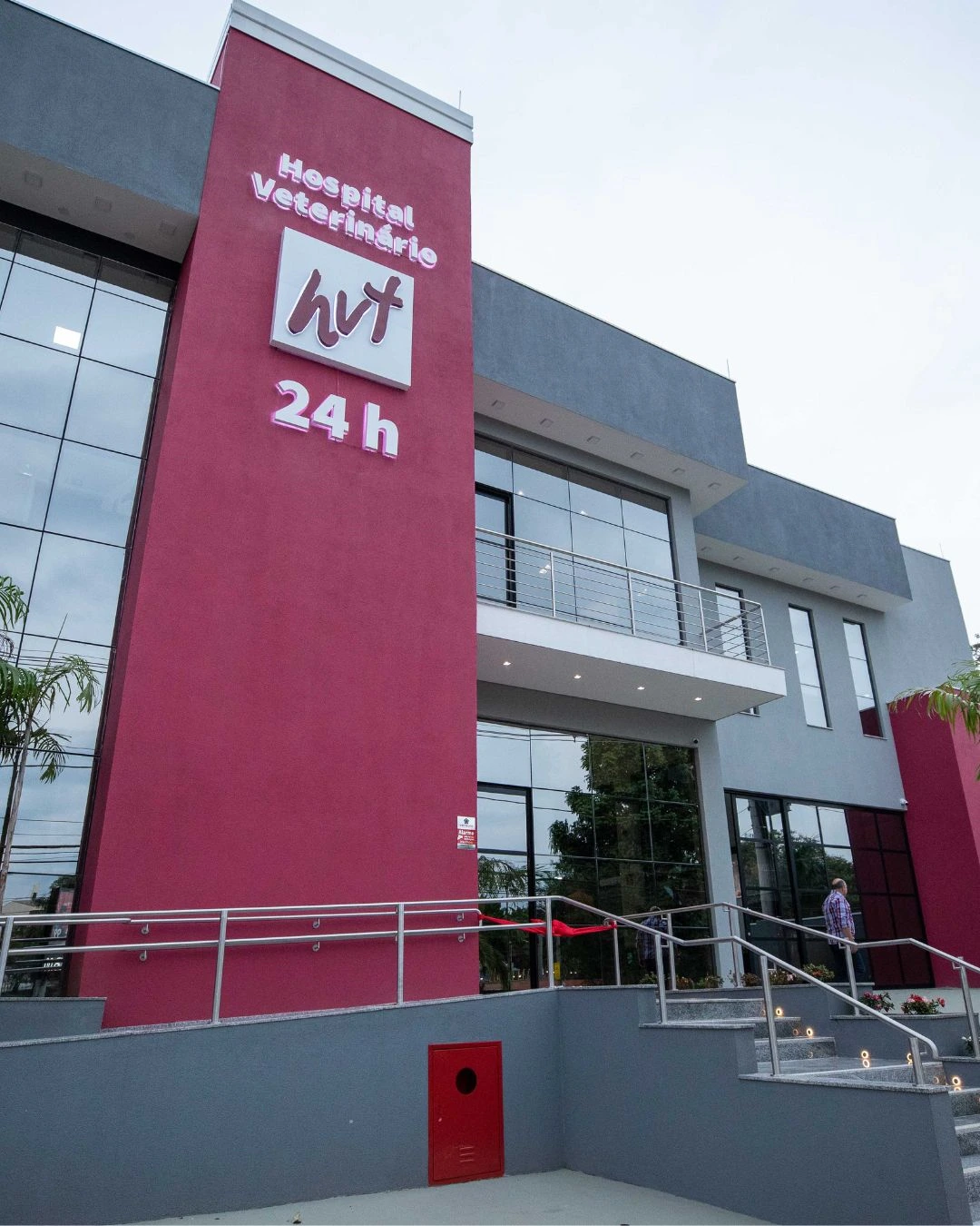 Veterinário ortopedista em Campinas